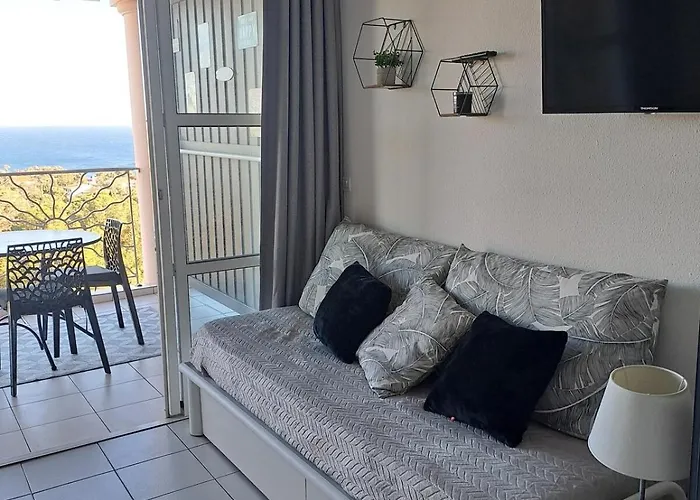 Апартаменты Vue Panoramique Au Cap Esterel T2 *